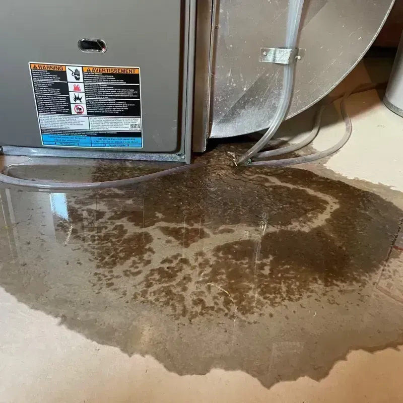 Appliance Leak Cleanup in Madill, OK